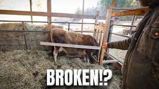 Broke the Cows Leg!? Moving the PigPort & Pole Barn Hurricane Repair