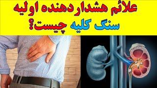 Symptoms of kidney disease علائم هشداردهنده اولیه سنگ کلیه با درمان کاملا گیاهی