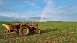 Looking for a treasure trove of sulfur in cereals