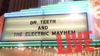 DR.  TEETH and THE ELECTRIC MAYHEM : LIVE