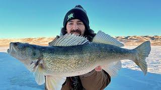 Can't Catch Walleye's? TRY This Method! Underwater Footage!