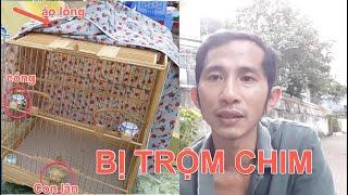 BỊ TRỘM MẤT CHIM - NHỜ ANH EM GIÚP ĐỠ