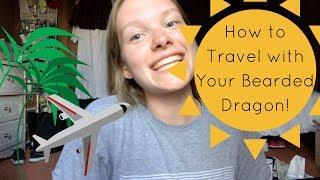 Bearded Dragon Travel Bag Checklist!! | How to Travel with Bearded Dragon