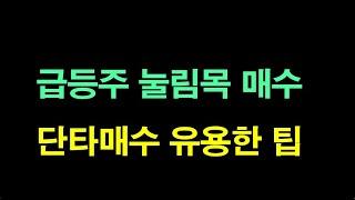 급등 - 조정  - 재급등 초기 매수할 때 팁. 급등주 단타. 눌림목 매수.