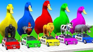 5 Giant Duck Cartoon, Cow, Elephant, Tiger, Dinosaur, Paint Wild Animals Crossing Fountain Animation