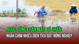 Nước sông tràn mặt đê nhấn chìm đất nông nghiệp, người dân kêu cứu | VTV24