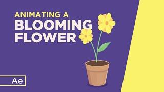 Animating a Blooming Flower - After Effects Tutorial