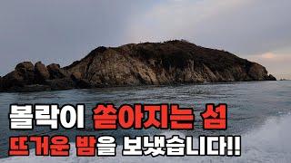 저는 이곳을 볼락의 섬이라 부르겠습니다