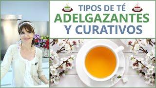 TÉ ADELGAZANTE Y CURATIVO | Ahora Nosotras