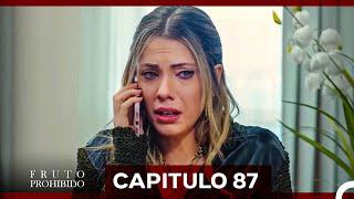 Fruto Prohibido Capitulo 87 (Doblado en Español)