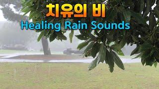 Healing rain falling on trees makes me fall asleep / Rain sound for insomnia and tinnitus treatment