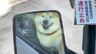 Shibe is turned back because of a flood-related landslide, but he still enjoys the view.