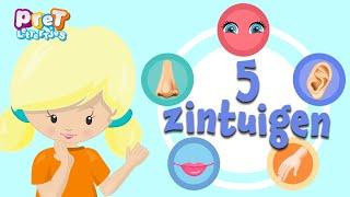 Zintuigen Leren | Kent jouw kleuter alle 5 Zintuigen? | Thuisonderwijs Nederlands | Kleuteronderwijs