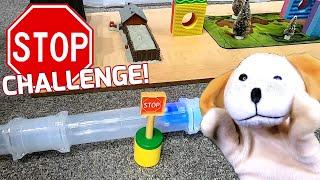 STOP Challenge! Excite Dog Takes the Zoom Tube Stop Challenge