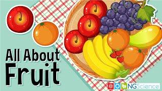 All About Fruit