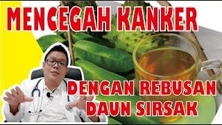 MENCEGAH KANKER DENGAN REBUSAN DAUN SIRSAK DAN CARA MENGOLAHNYA