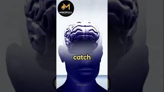 Can You Train Your Brain to Remember Everything? | Memory Facts Explained