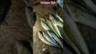 Village amazing fish@md-007 #shorts #youtubeshorts #shortvideo #viralvideo #fish #duet #youtube