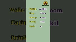 Wake up in Arabic | Sleep in Arabic |Language | Spoken Arabic |#arabiclanguage #yotubeshorts #shorts