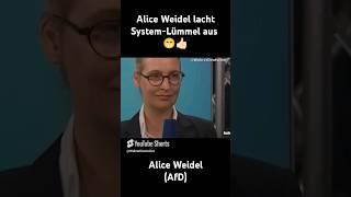 Alice Weidel lacht Systemling aus #afd #deutsch #deutschland #memes #politik #shorts #europa #funny