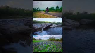 Bastrop Texas #bikepacking #dog #adventuredog #adventurebike #aesthetic #travel #bicycletour