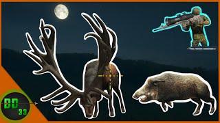 The Most Realistic Hunt Using Premium Night Vision Optics! Call Of The Wild