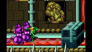 Arcade Longplay [480] Battletoads