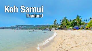 Koh Samui, Thailand - Bangrak Beach Koh Samui 2022 - Walking Tour