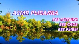 ASMR рыбалка: без рыбы, без музыки и без слов