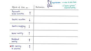 Brandl's Basics: Effects of  CCK (Cholecystokinin)