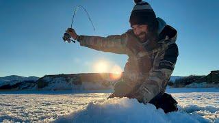 Tearin Up Walleye's / Burbot! CLEAR Underwater Footage