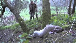 The Airgun Show – rabbit shooting off a bipod, PLUS the FX Verminator MKII on test