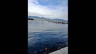 Crisp November Day at Coal Harbour, Vancouver: Stunning Waterfront Views in 3 Minutes