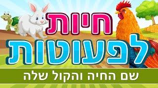 חיות לפעוטות | חיות לגיל הרך