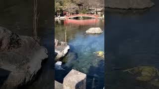 Right Every Wrong  Affirmation | Florence Scovel Shinn Commentary @Shrine in Japan