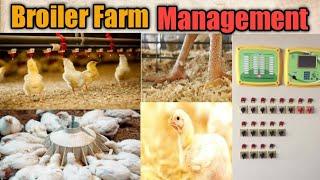 Environmental Control Broiler House Management | ECH Management | Broiler Farm | @Dr.Abu-BakarNaeem