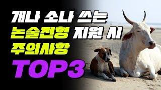 수시 논술전형 지원 시 주의사항 TOP3  | 입시덕후