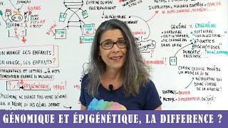 GENOMIQUE ET EPIGENETIQUE, LA DIFFERENCE ?