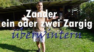 Zander ein oder zwei Zargig überwintern ?