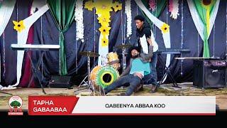 Qabeenya abbaakoo-Tapha Gabaabaa