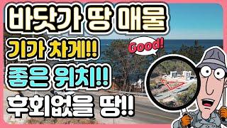 매물 170 바닷가 주택 부지 바닷가땅 매매 바닷가 집터 바닷가 펜션 부지 포항 부동산 매물 바닷가 토지 매물 바닷가땅 매물 포항 부동산 매매 동해안 바닷가땅 - 포항 부동산TV