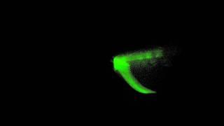 Samuele Matteucci - Ring Bent Gravity Party(cles) (2017)