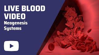 Live Blood Video Neogenesis Systems