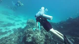 Day 3 - Scuba Diving in the Red Sea near KAUST, Thuwal, Kingdom of Saudi Arabia