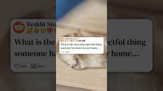 What is the most disrespectful thing someone has done in your home #reddit