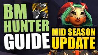 UPDATED BM HUNTER 2 MINUTE PvE GUIDE 10.0.5