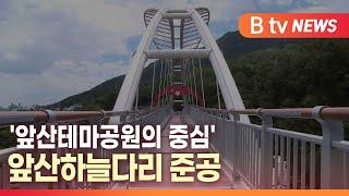 [B tv 대구뉴스]'앞산테마공원의 중심' 앞산하늘다리 준공