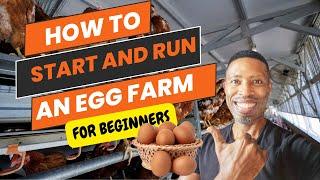 How To Start And Run An Egg Farm ( A Beginners Guide)