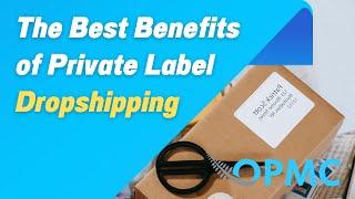 The Best Benefits of Private Label Dropshipping | Dropshipping Products