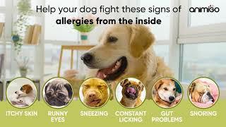 Relieve Your Dog's Allergies: The Ultimate Aid for Skin, Environmental, & Food Allergies | Animigo